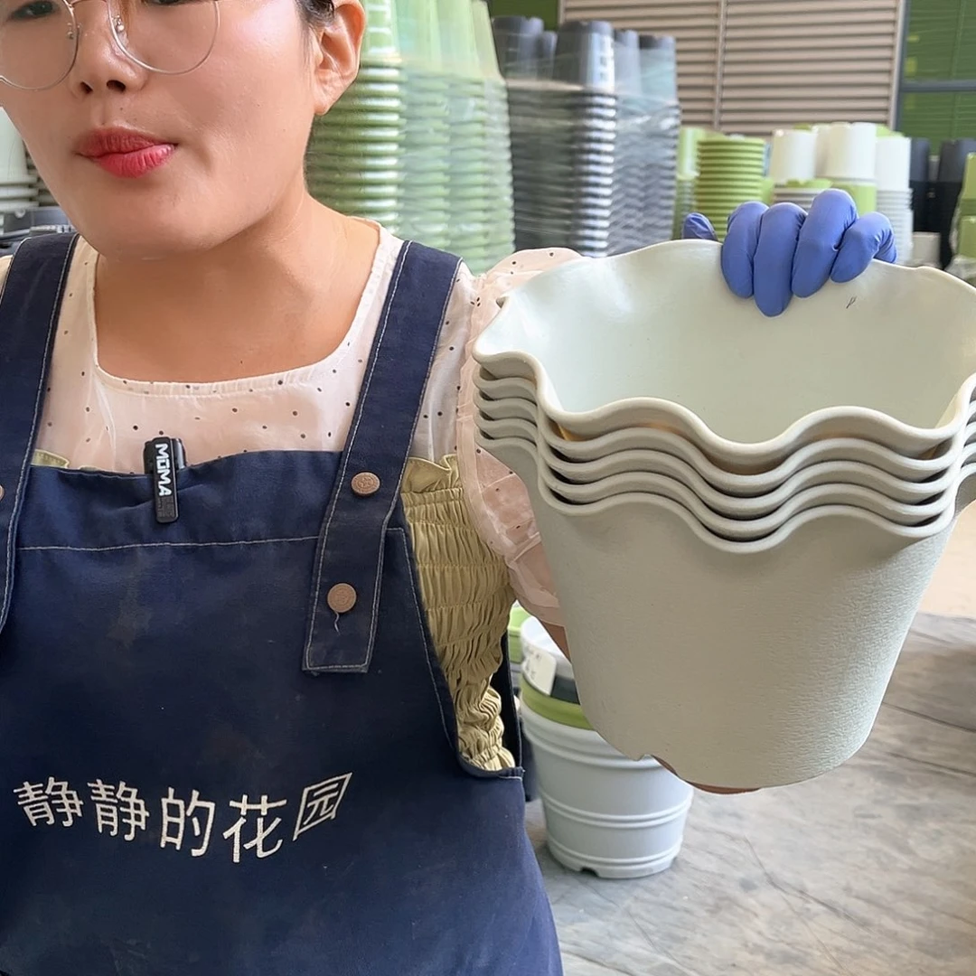荷叶盆3#米白色5个无托