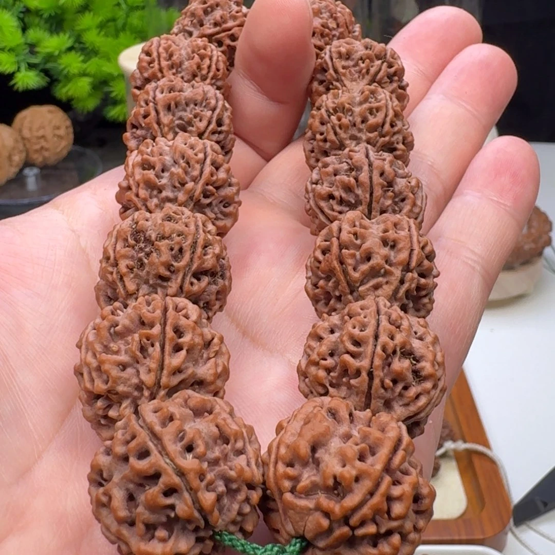 金刚菩提手串蜂窝双龙