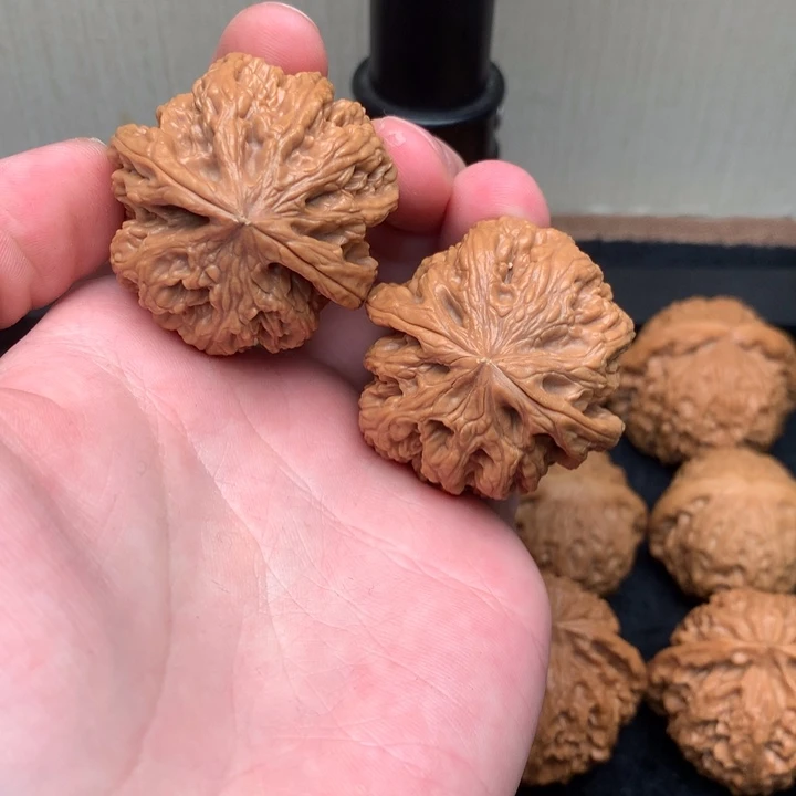 核桃40尺寸全品粗筋！！！