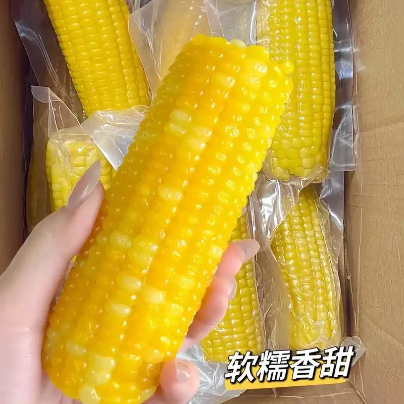 东北黏玉米5到8个