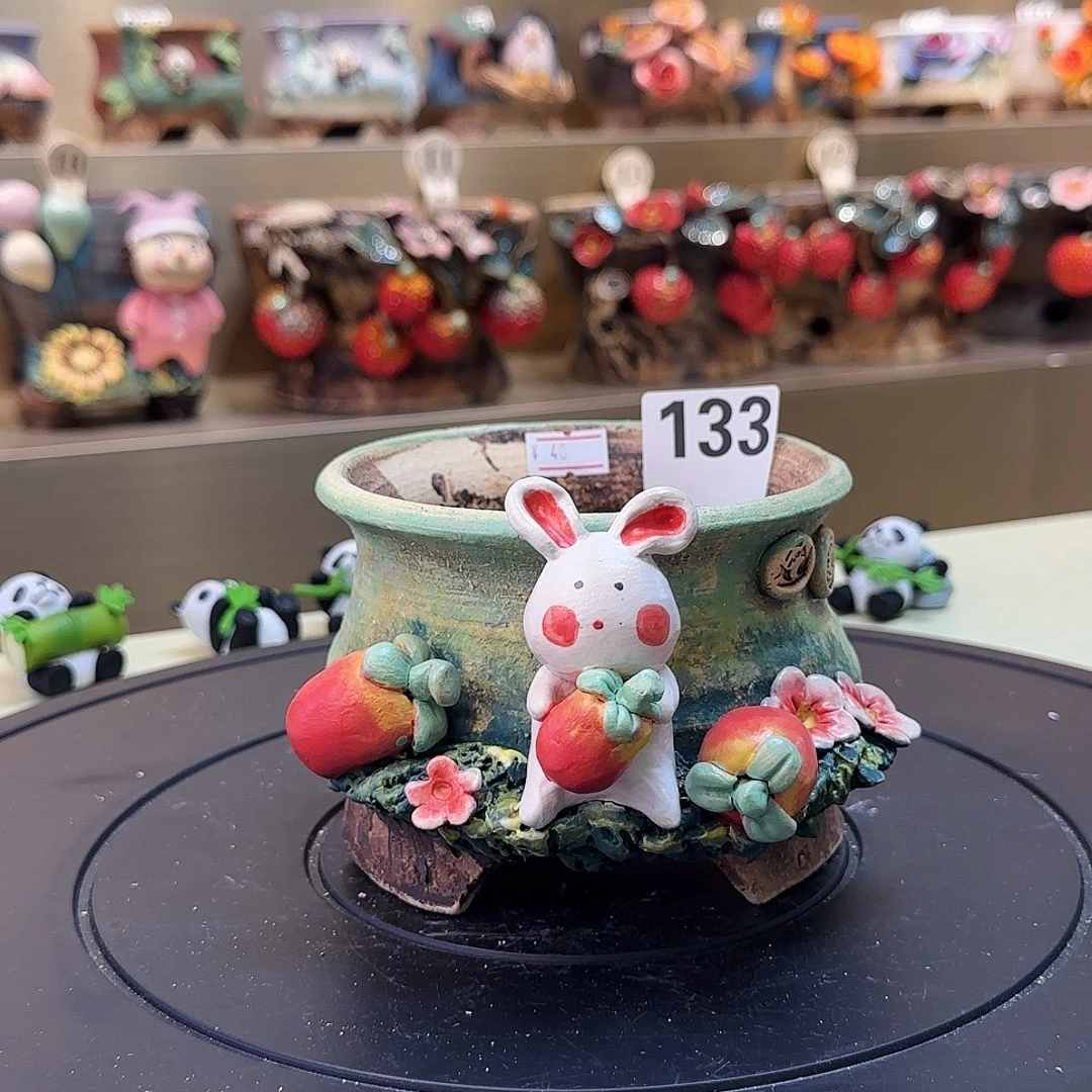 133 【闪购】精致多肉花盆