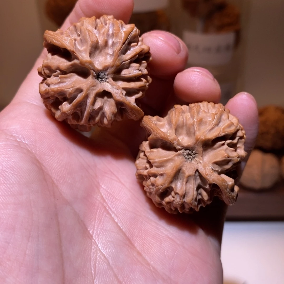 39尺 全品白茬 苹果园