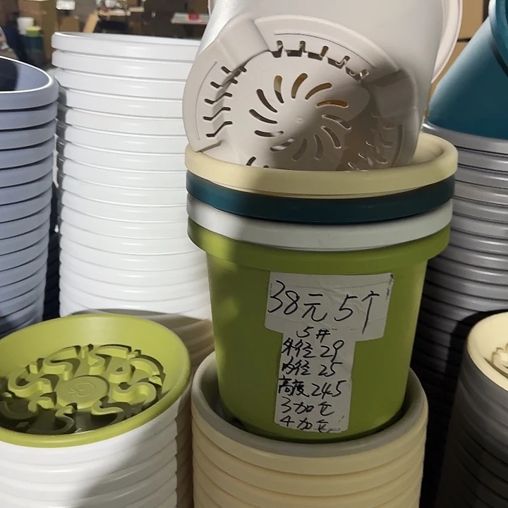 四季5#口径29灰白10个无托