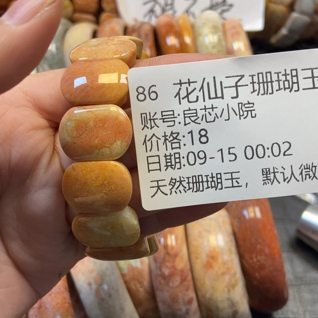 良***院未镶嵌硅化珊瑚（珊瑚玉）珠宝半成品86