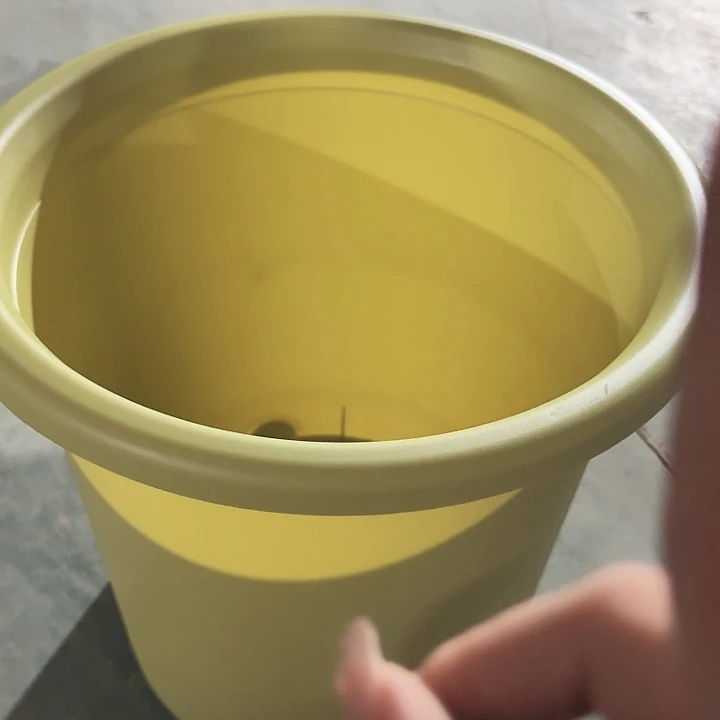 四季8号果绿无托5个特价微瑕