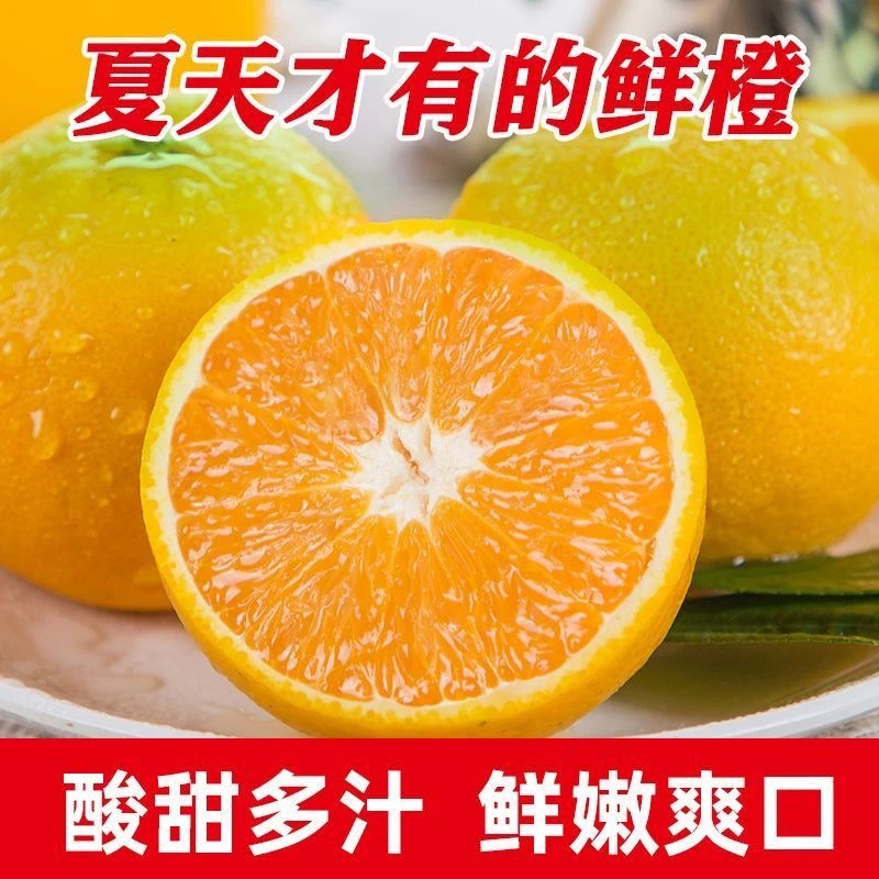 新鲜夏橙现摘现发高山种植自然成熟清甜爆汁老树新鲜水果