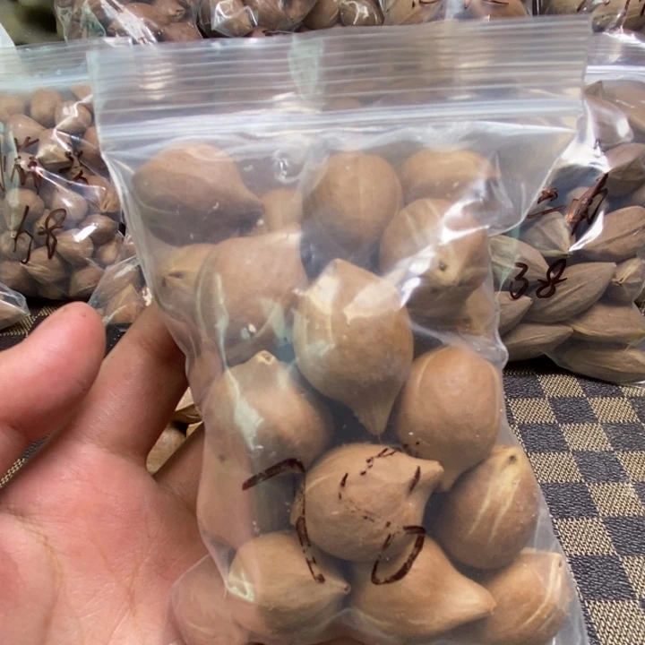 橄榄核手串/手链