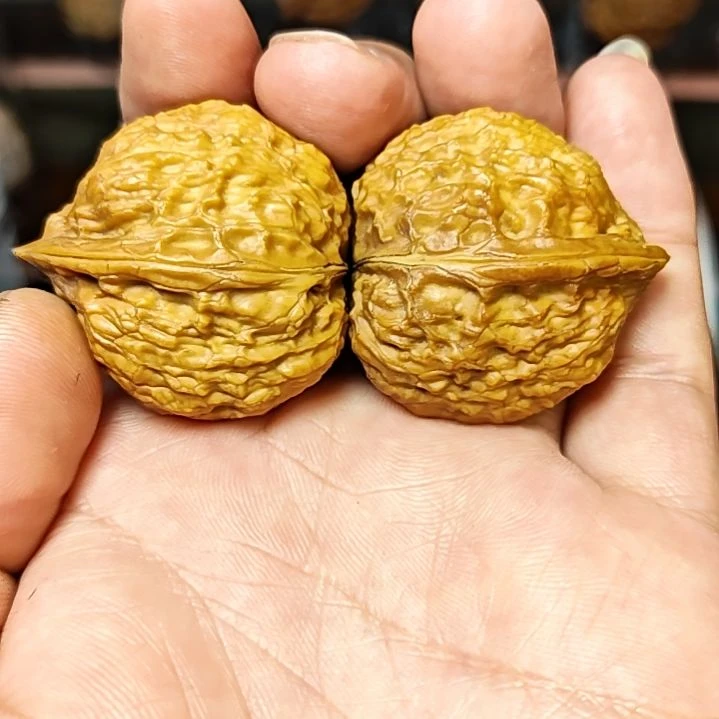 吊坠文玩核桃野生鸭嘴兽骨质超好（24）