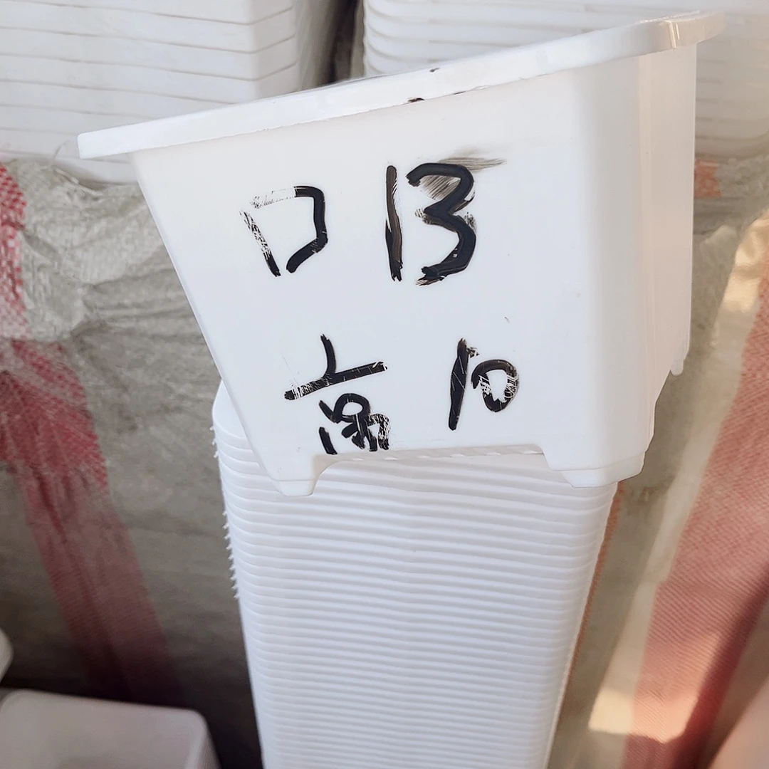 塑料福利款13方白色盆10个无托