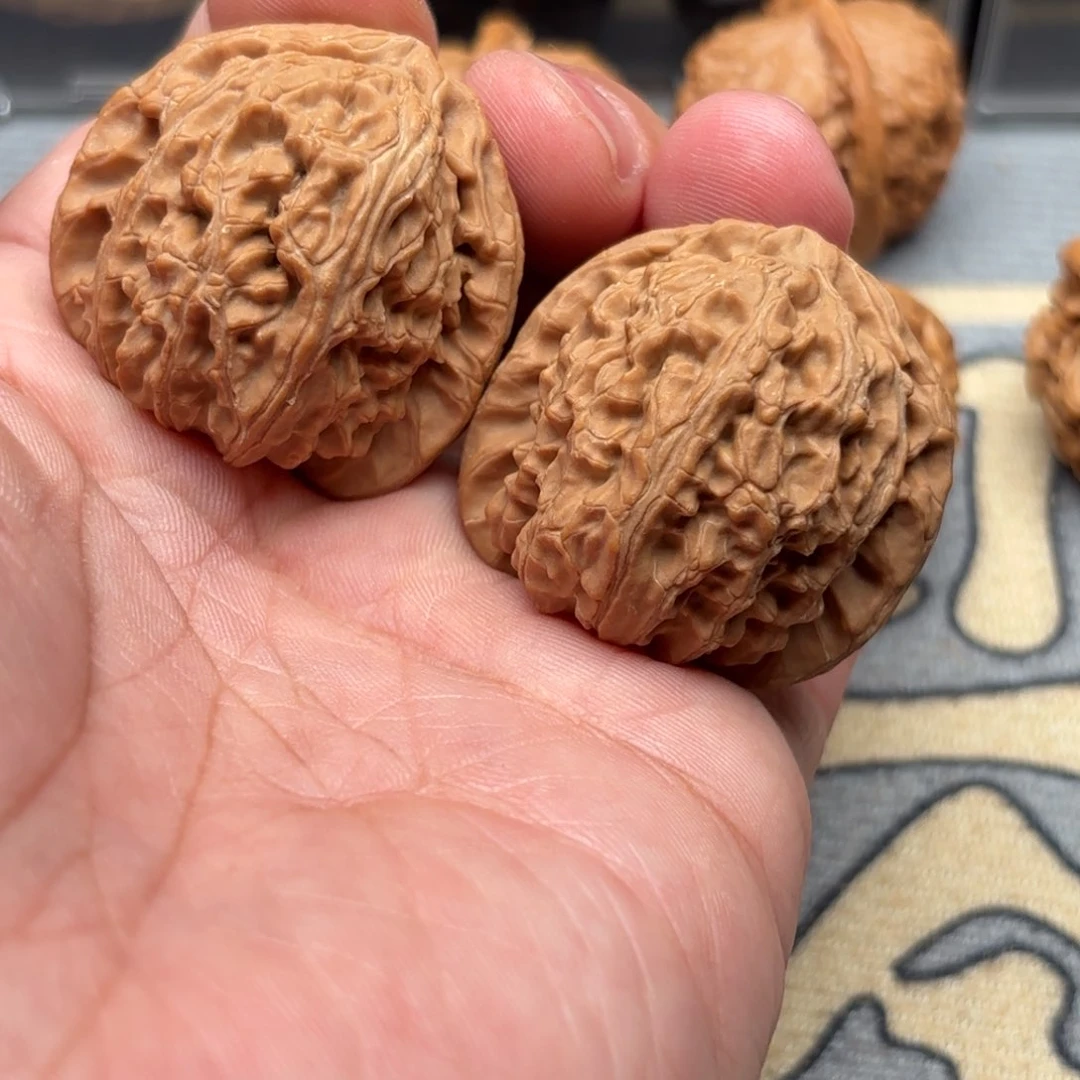 文玩核桃把件白狮子