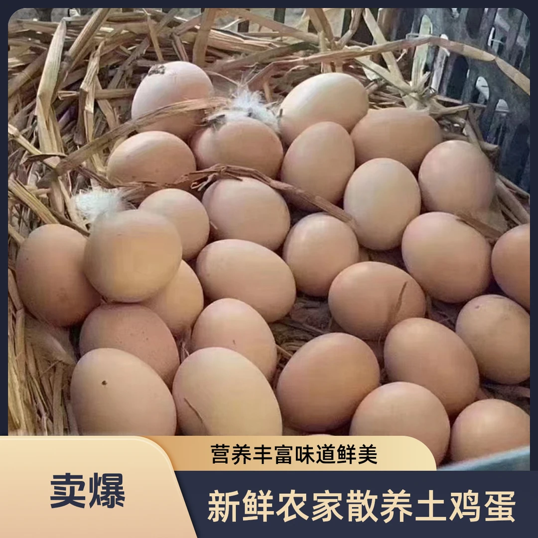 40枚单颗45g以上农家散养新鲜土鸡蛋谷物喂养营养健康破损包赔