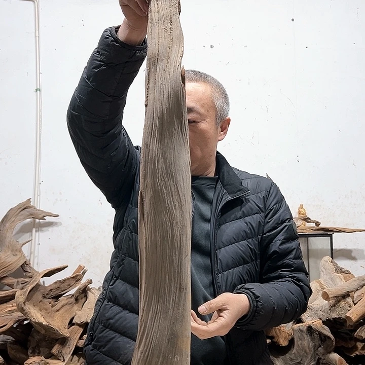 柏木不**问我们的生活也是如此