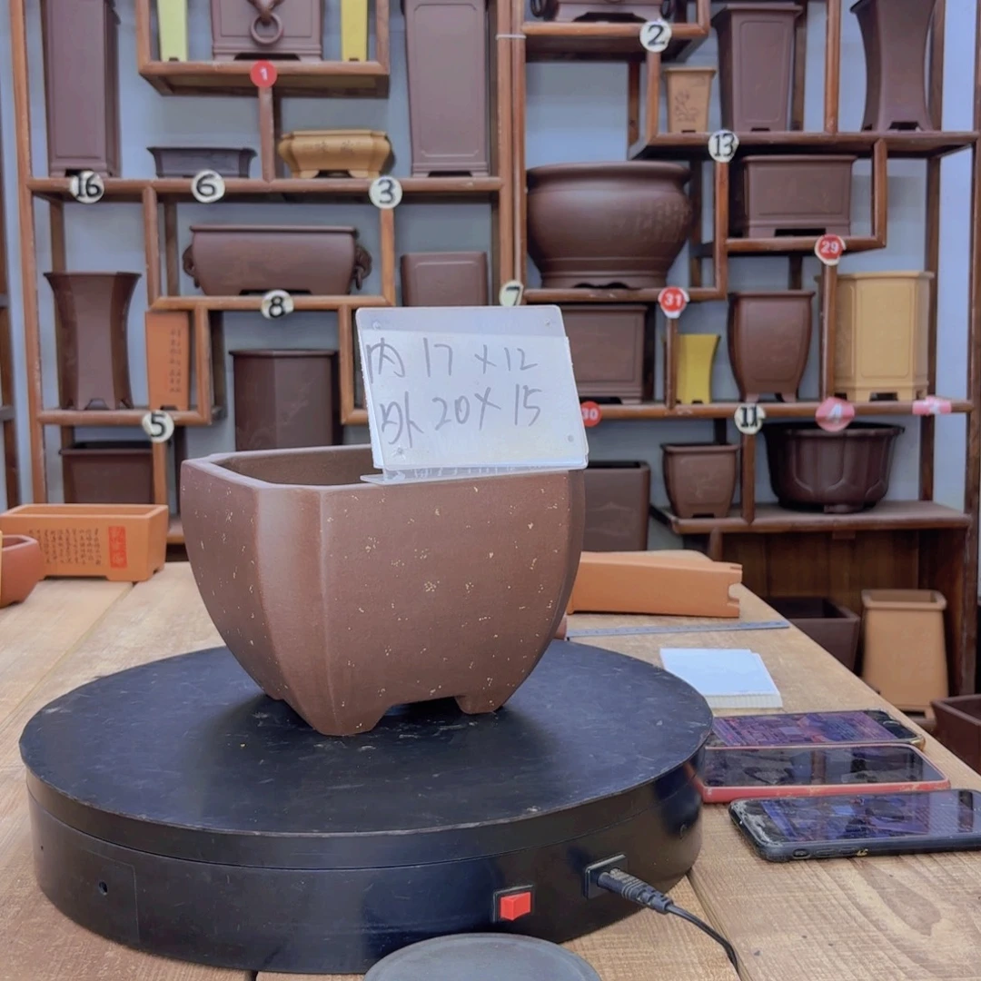 花盆紫砂福利秒杀