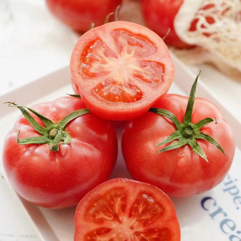 陕西泾阳普罗旺斯水果西红柿新鲜采摘自然成熟沙瓤多汁