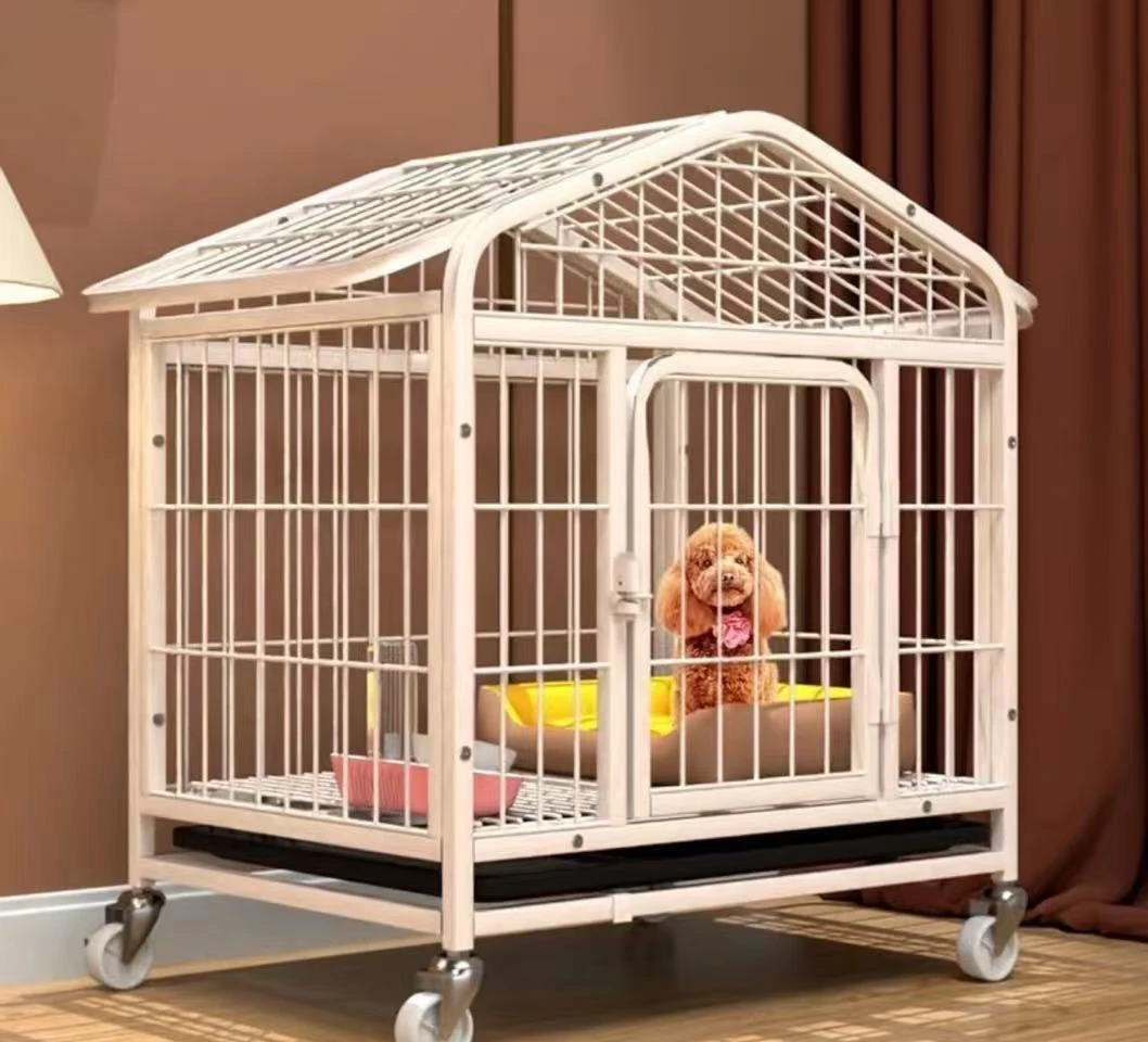 狗狗专用跑笼子家用