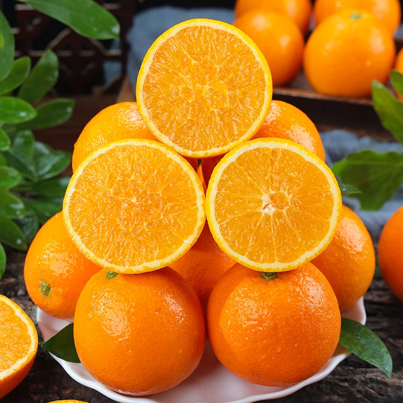 带箱5斤 重庆纽荷尔脐橙新鲜现摘产地直发 （约7-13个）坏果包赔