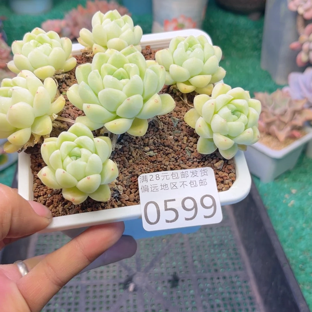 大0599ujj kj j k k k l