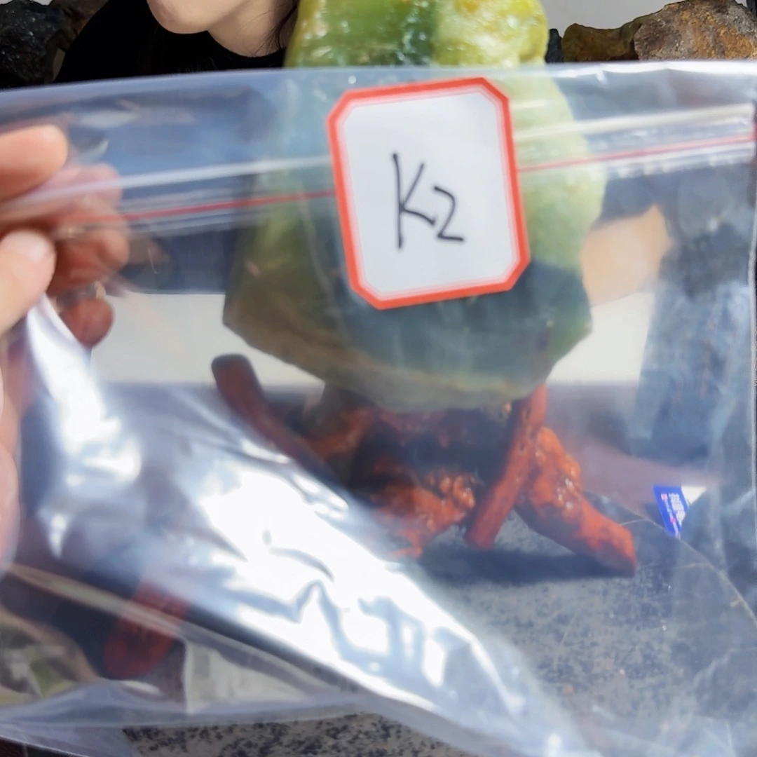 蛇纹石玉未镶嵌手镯何*春