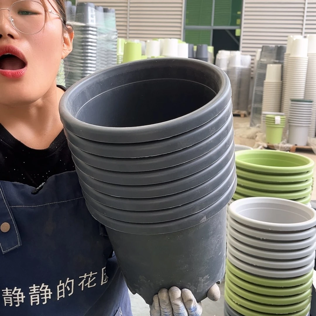 四季盆4%灰黑色8个无托