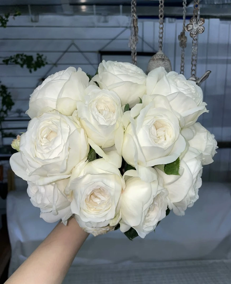 婚礼之路 月季玫瑰花苗白色大花浓香盆栽 切花阳台庭院花卉