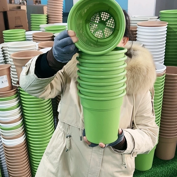 正品翻边桶口16.5高17果绿无托8只