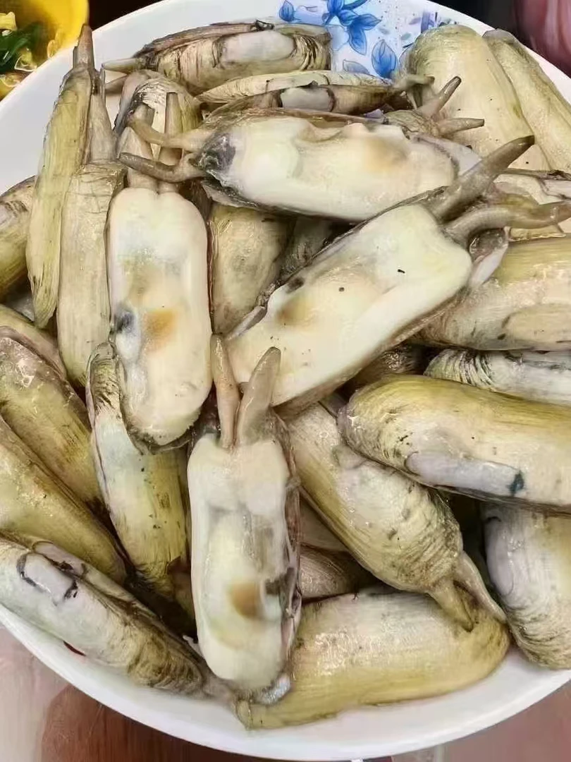 现挖哆头蛏3斤装