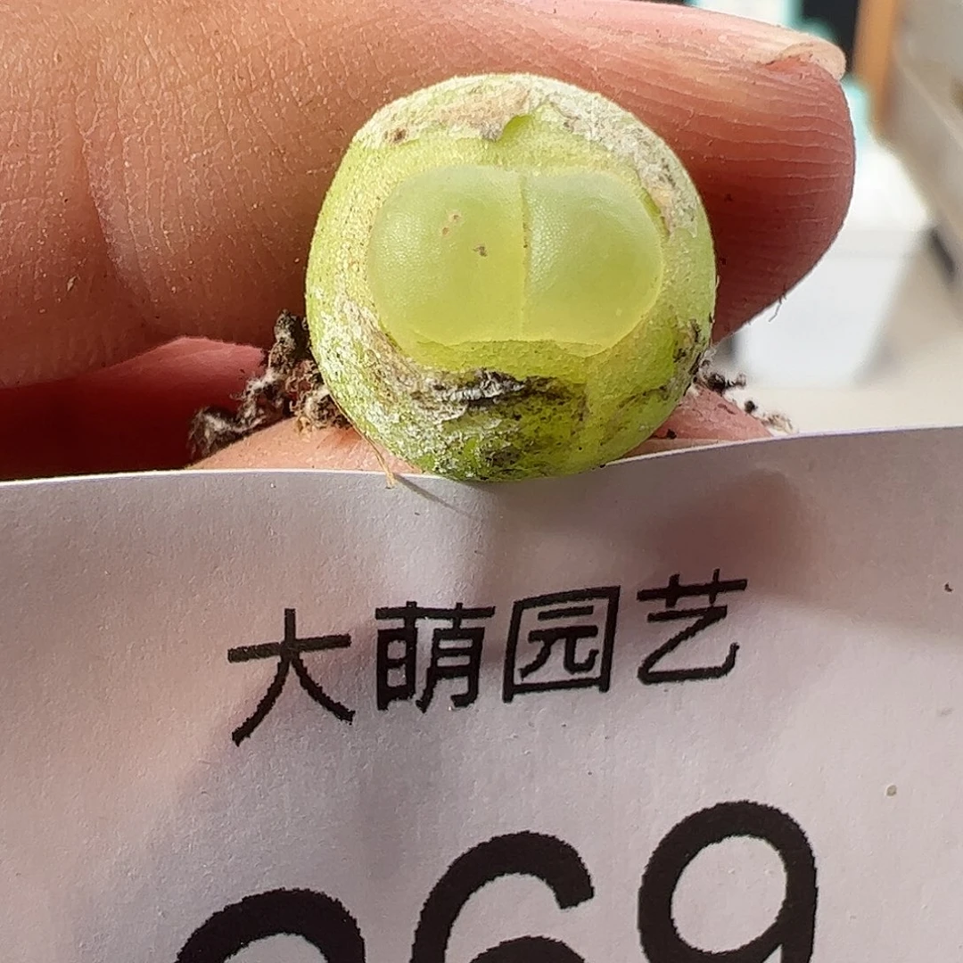 0000269 一物一拍……
