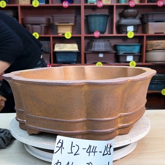 红陶天***塔紫砂花盆里有很多