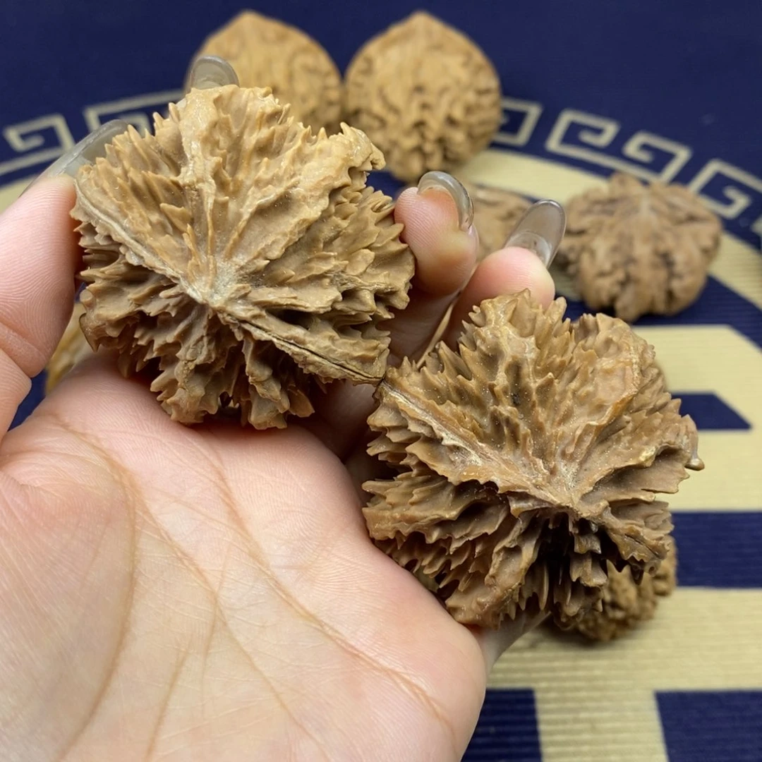 文玩核桃吊坠仗*霸王花8号链接88888888