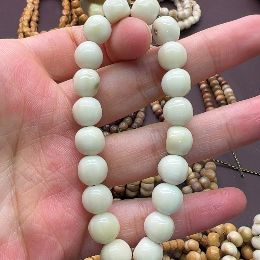 B***W吊坠龙脊菩提原籽