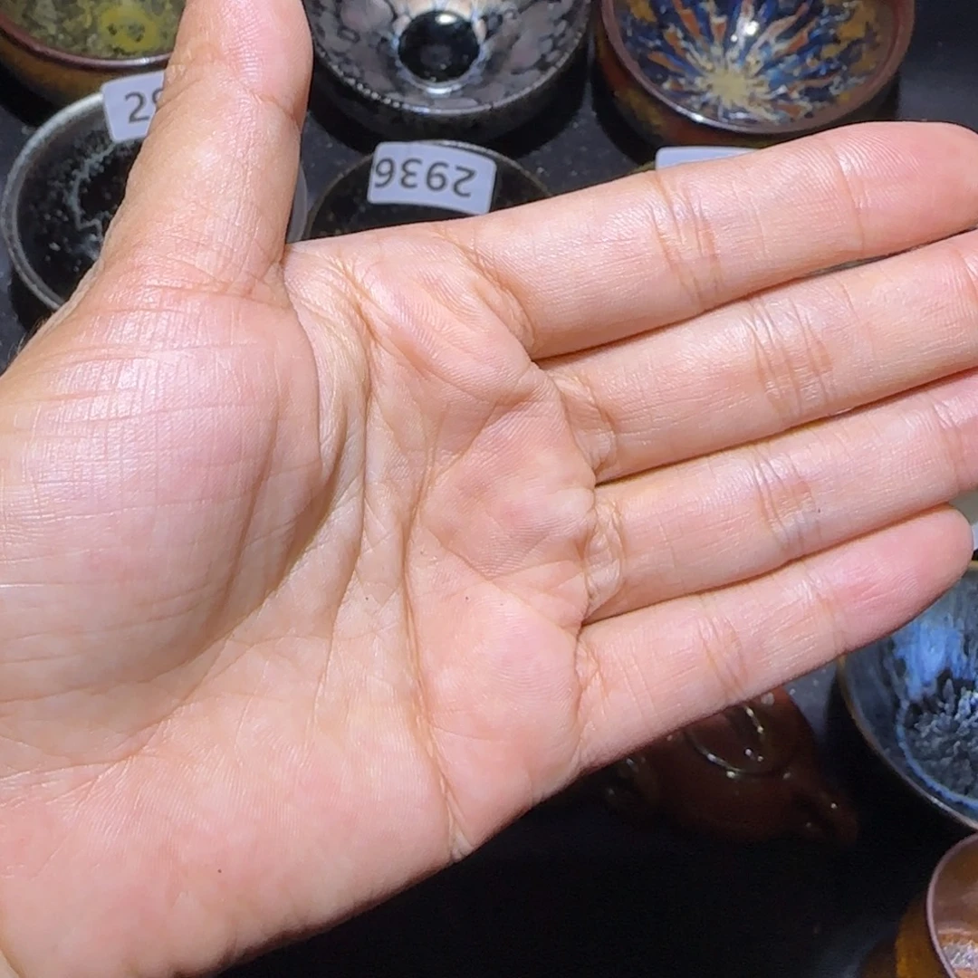 向***走茶盏福建盏茶器钵