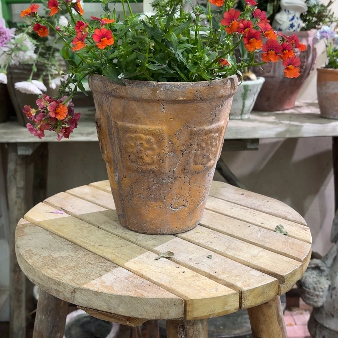 许纯的花房 复古四方花