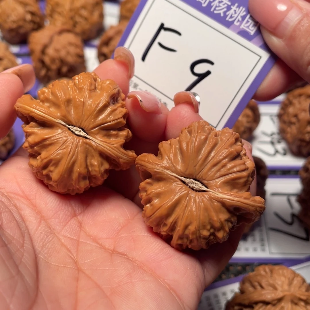 把件文玩核桃9号白狮子40