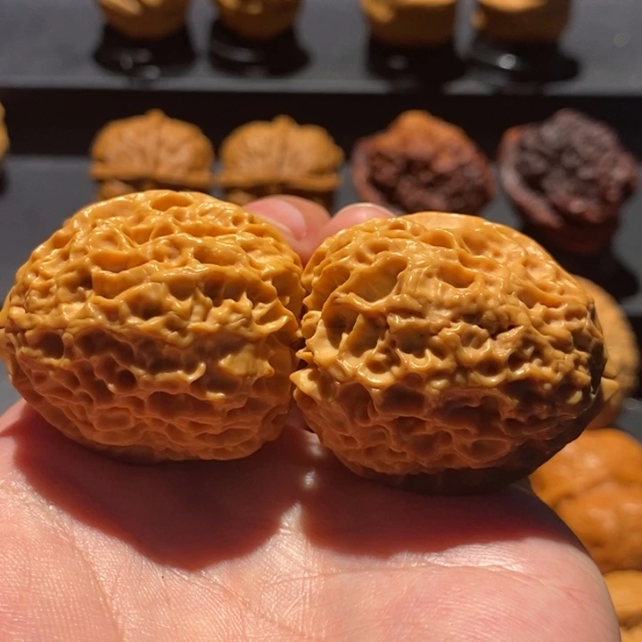 文玩核桃把件43尺血珊瑚