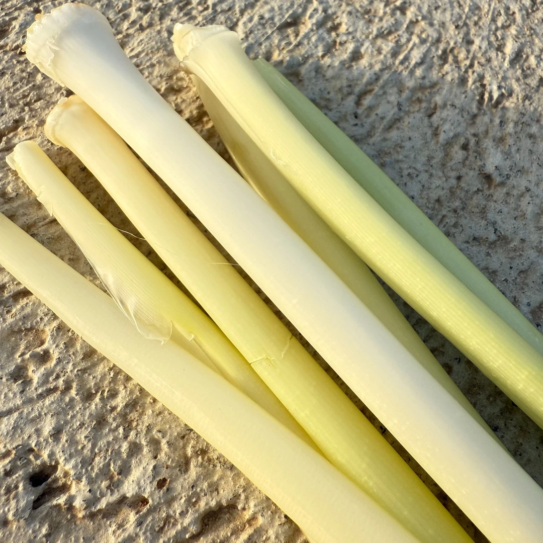 新鲜现采蒲草心茭白新鲜时令蔬菜