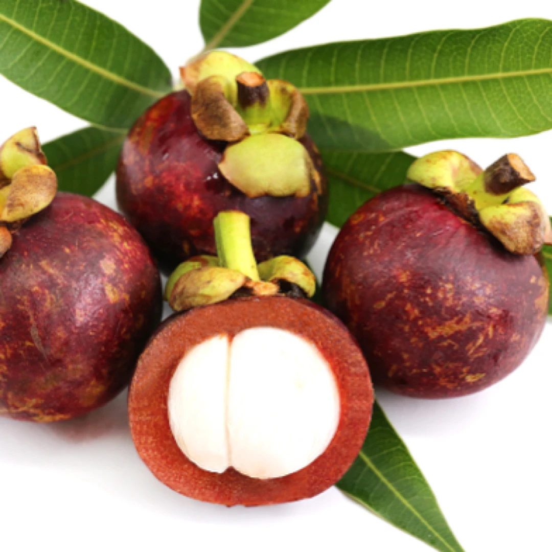 泰国老树3A山竹1斤装小时达