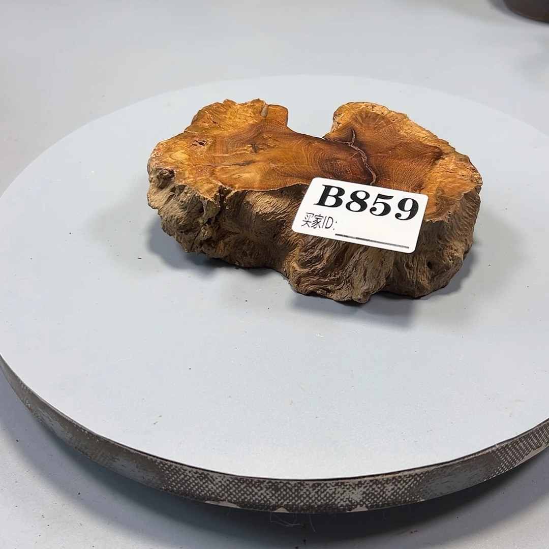 大果紫檀（缅甸花梨）放**下