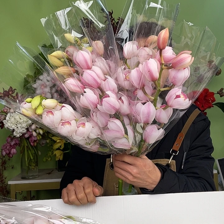 完全开放A级诱惑3支