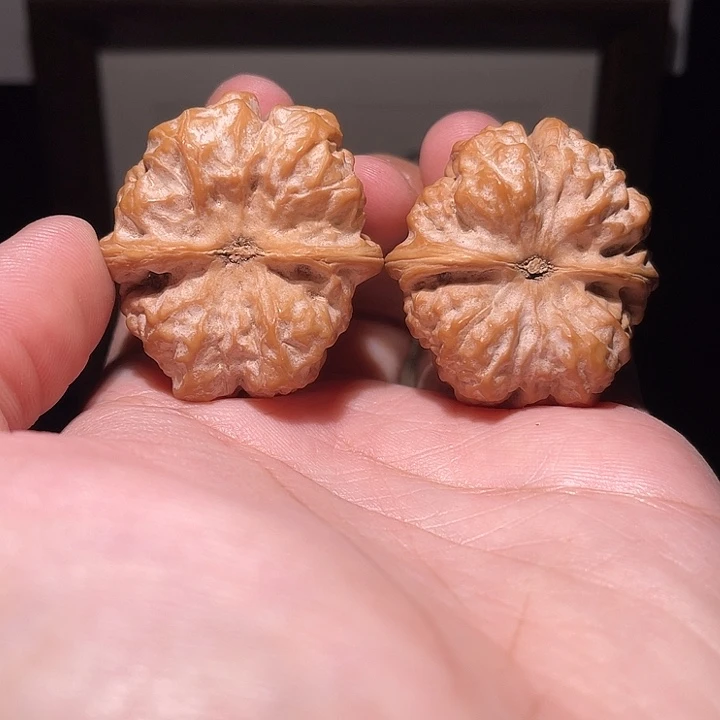 手串/手链核桃2208