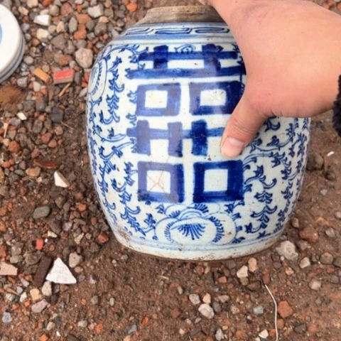 核桃木/黑胡桃（胡桃木）用****6