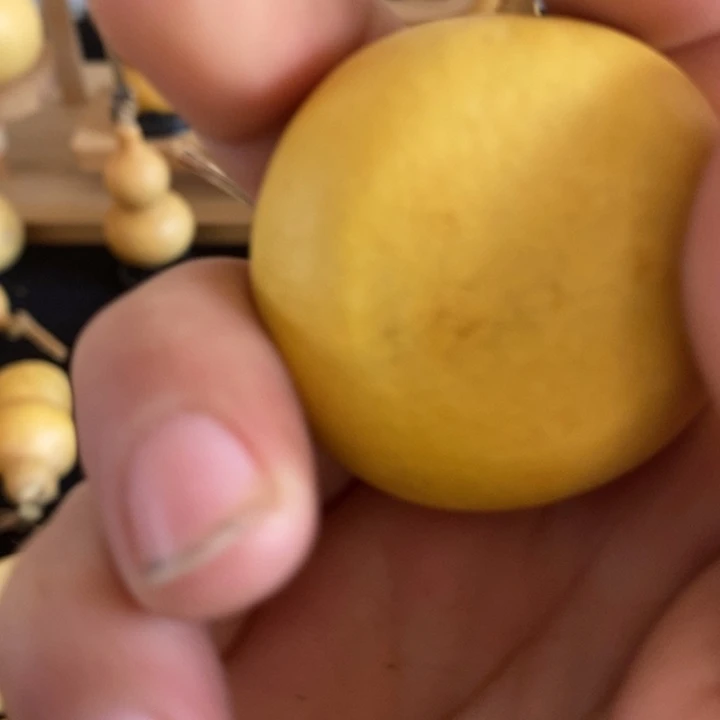 看好再拍，不退不换O