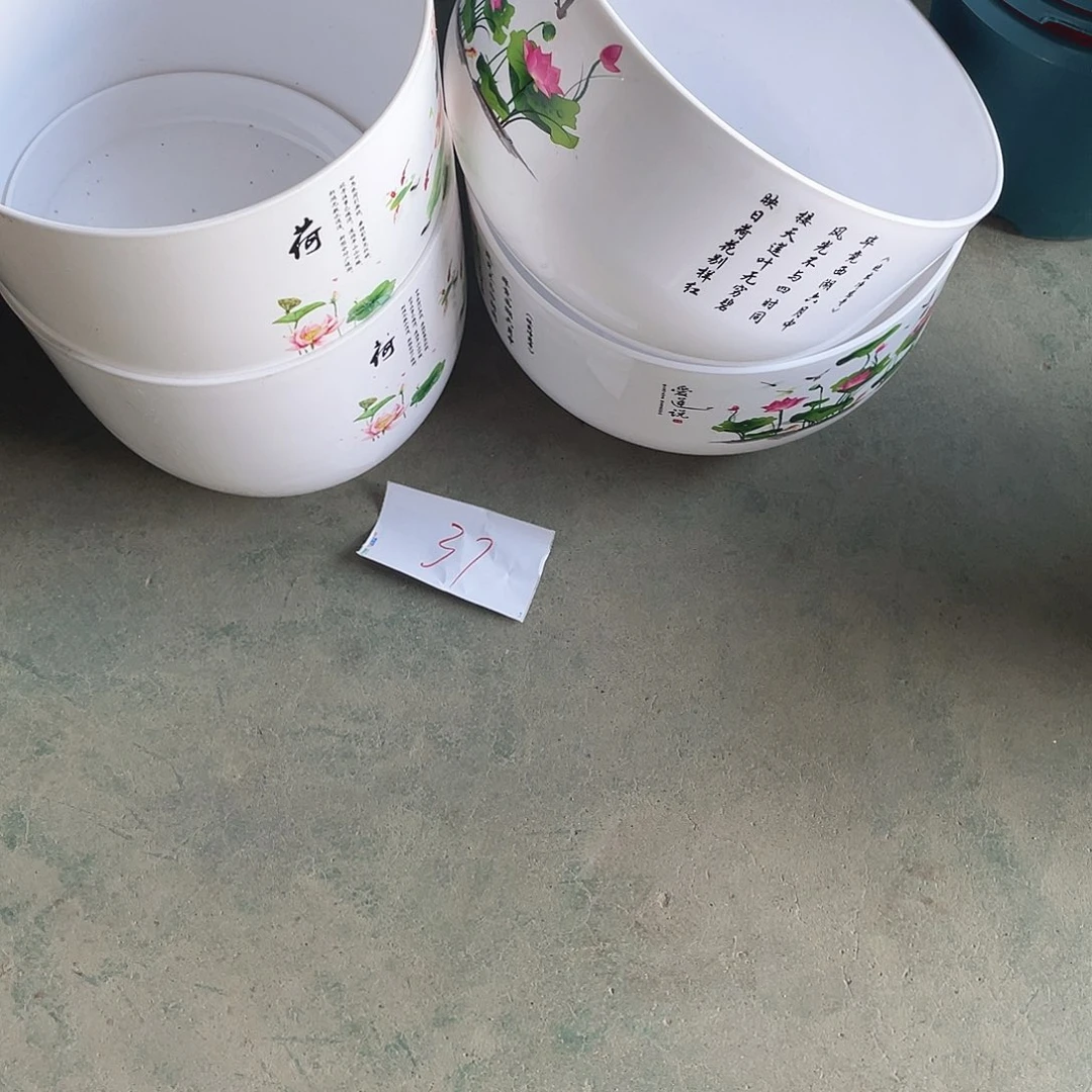 编号是37号的37号的