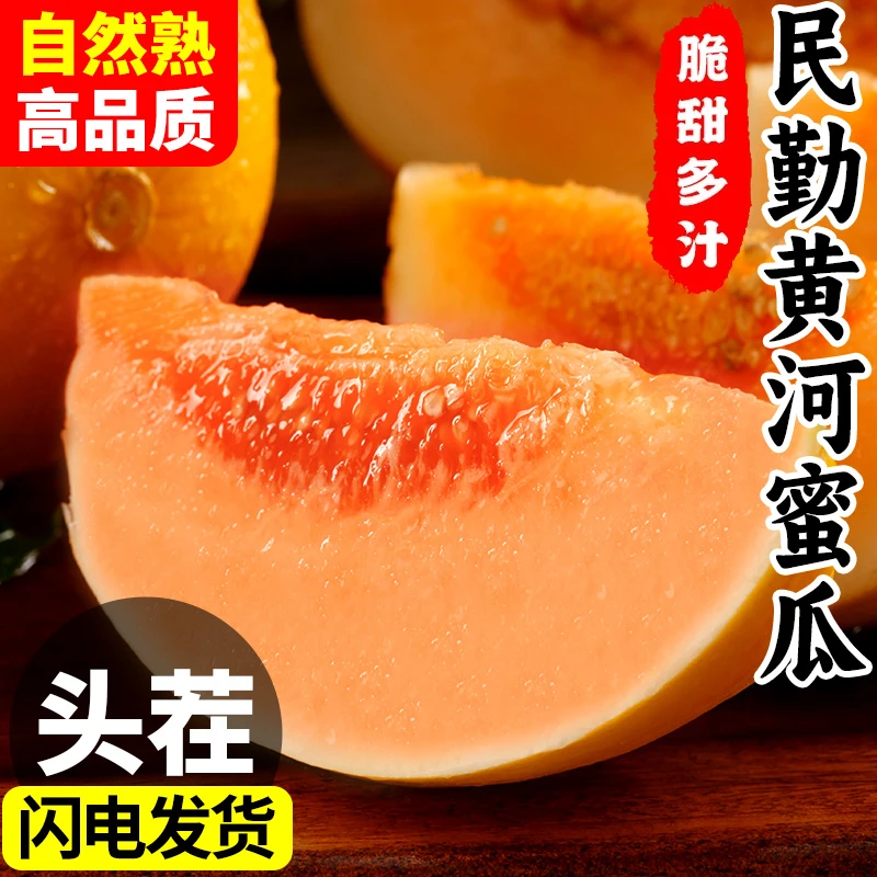 民勤黄河蜜甜瓜甘肃蜜瓜新鲜水果应当季整箱包邮黄金脆香瓜哈密瓜