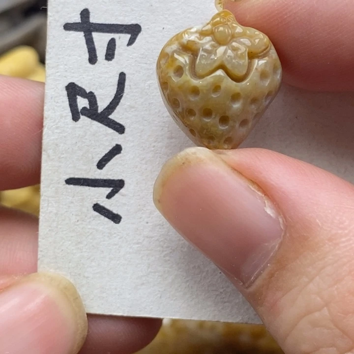 硅化珊瑚（珊瑚玉）未镶嵌颈饰