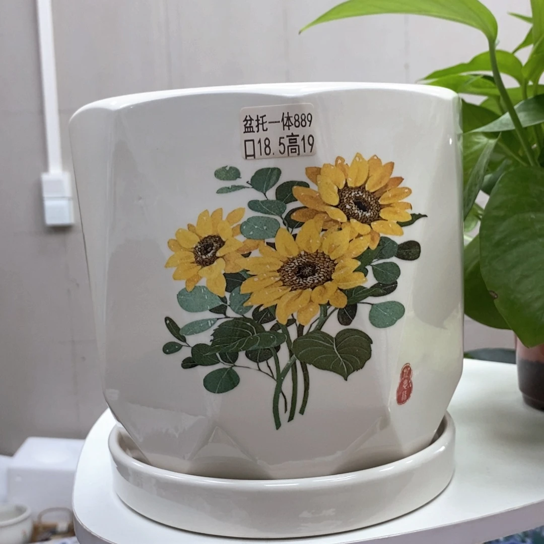 @陶瓷花盆@@5889