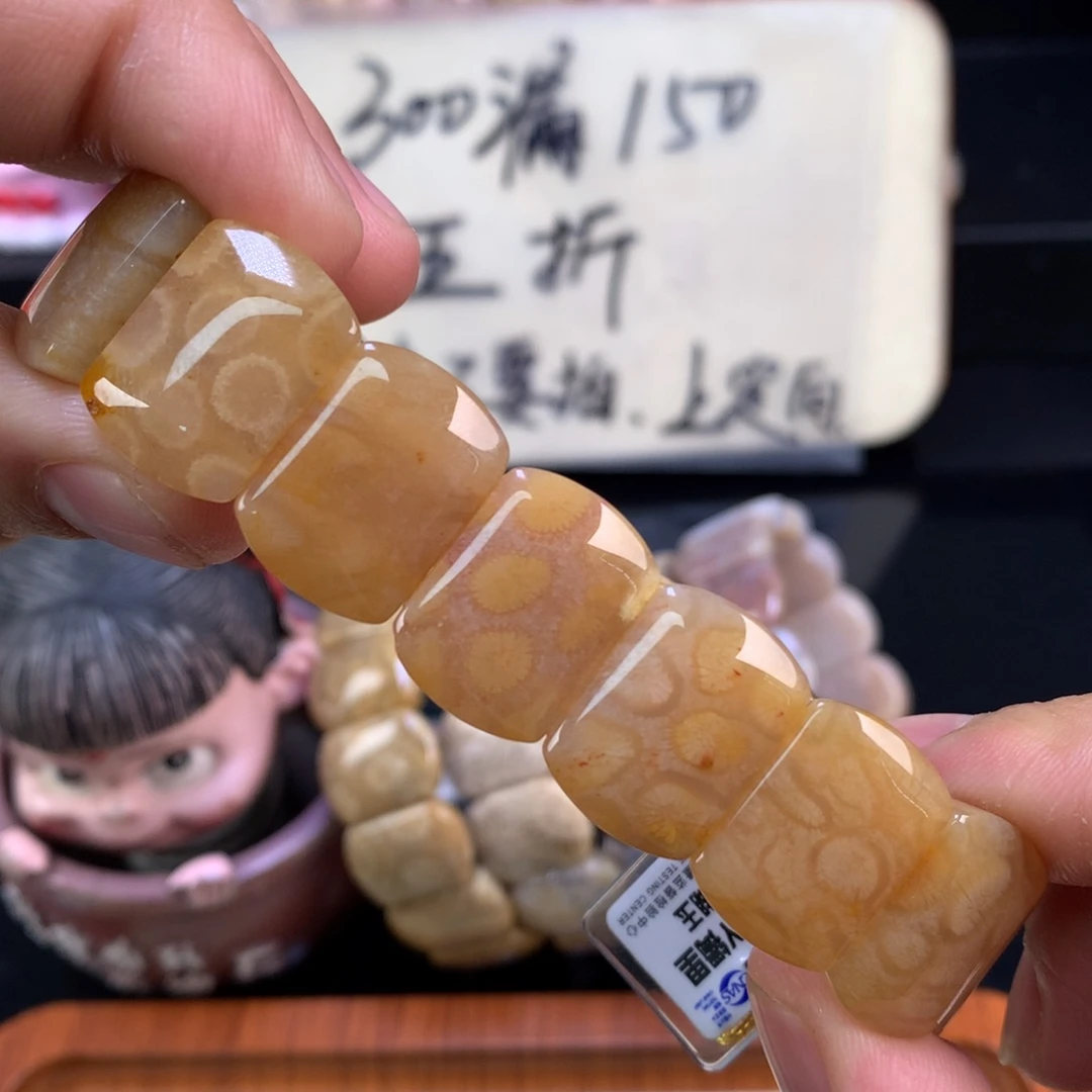 硅化珊瑚（珊瑚玉）未镶嵌颈饰26号全满糖冰豹纹绝绝子！