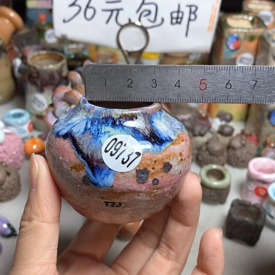 拍5送一个小礼物