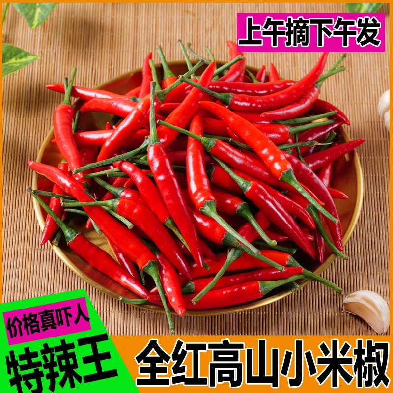 农家种植新鲜现摘特辣小米椒朝天椒海椒杭椒餐饮食材红辣椒泡辣椒