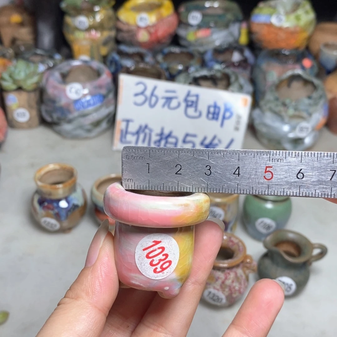 拍5送一个小礼物