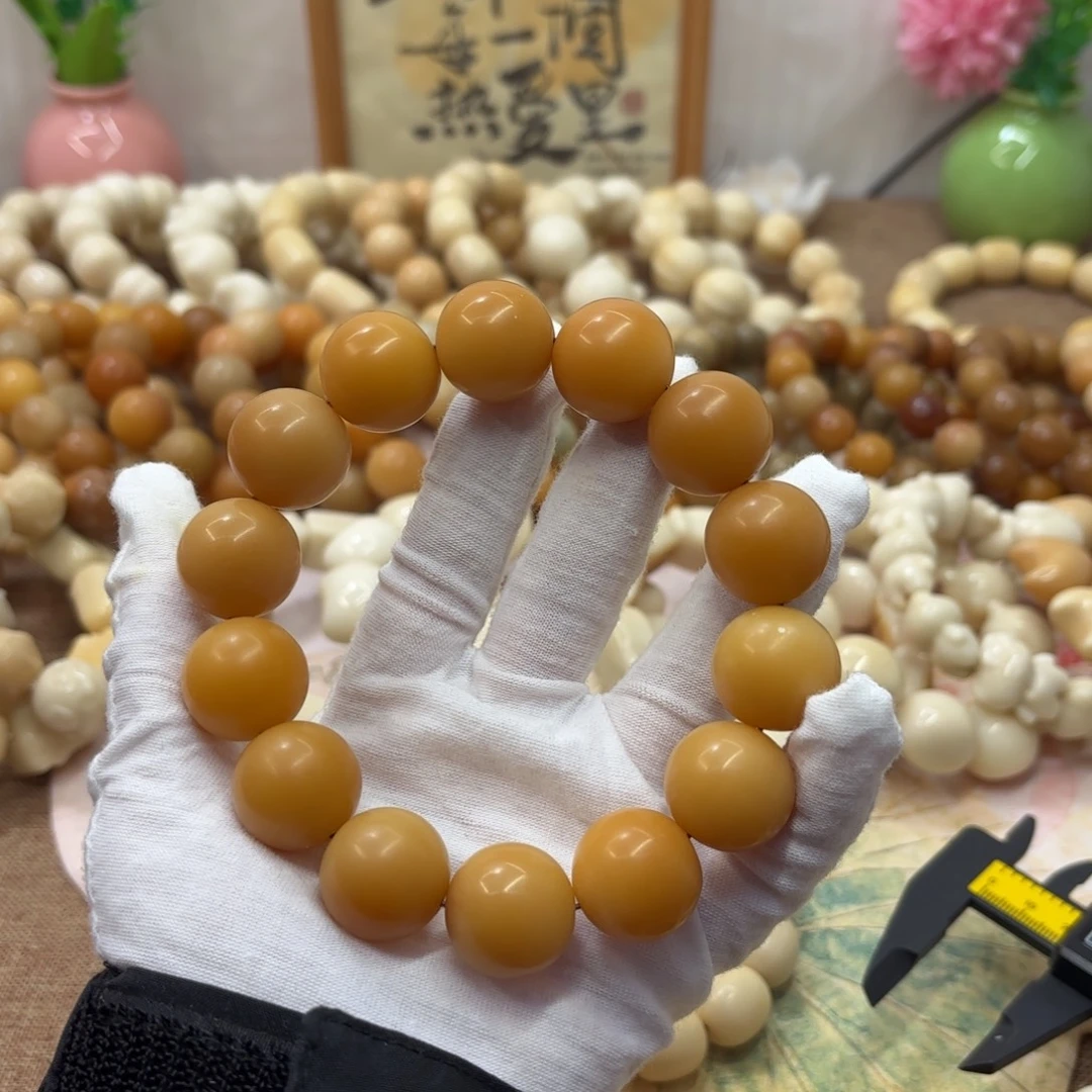 吊坠菩提根/象牙果20干磨瑕疵落地果071